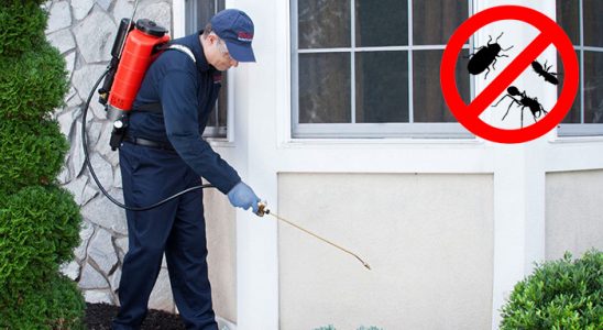 Muratlı Akrep İlaçlama böcek ilaçlama ve haşere kontrolü — ilaclama-tr.com